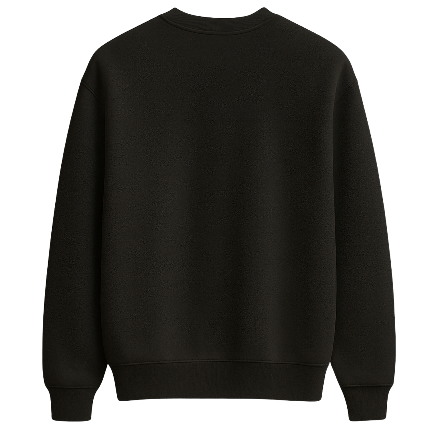 ÖN SİPARİŞ - Raccoon Club – Premium Nakışlı Oversize Sweatshirt | Siyah